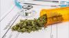 Caye Caulker Leads Belize’s Cannabis Revolution