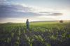 The future of the agricultural industry with AI