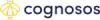 Cognosos Delivers $300K in End of Line Labor Alone for a Major Automotive Manufacturer