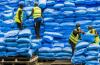Cameroon’s Fertilizer Imports Fall in 2024 as Push for Local Production Gains Ground