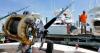 Delaware Sets New Daily Limit on Spot Fish to Meet Conservation Rules