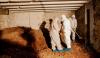 Montenegro Clears Defendants Accused of Tunnelling into Court Storage