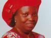 2027: PDP Can Unseat APC in Niger – Woman Leader