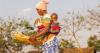 Facing a crisis, Malawi secures World Bank financing to obtain essential imports
