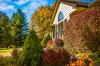 Gardener urges homeowners to rip out harmful plant that is spreading rapidly in US: 'The kind of education folks need'