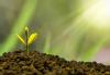 Armenia Charts Path Towards Green Economy