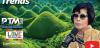 Ark Travel Express: Steering the Philippines to a World of Journeys
