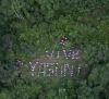 Ecuador and Yasuní oil: A challenge for democracy and the integrity of the Amazon