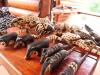 Family Farms And Indigenous Hosts: Engage In Paraguay’s Community Tourism