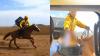 VIDEO: China Deliveryman Rides On Horse To Deliver Parcel To Tourists; Amazes Netizens