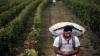 The EU offers new protections for farmers as it seeks to build support for Mercosur trade deal