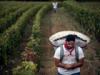 EU offers protection for farmers as it seeks to build support for Mercosur trade deal