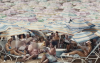 'Vacation Is Over' In Cayman Islands' 'Welcome To VaCay' Brand Refresh