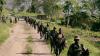 DRC Military Court Jails 23 Over Ties With Islamic State-Linked Allied Democratic Forces
