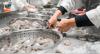 The Market Current: Ecuador shrimp prices to China in focus