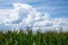 West Alabama Lawmakers Pre-file Bill To Ban Weather Manipulation