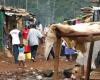 Cameroon's Anti-Poverty Push: 3.78 Billion FCFA Earmarked for New Beneficiaries