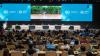 Panama environment minister backs calls for reform of UN climate process
