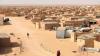 Tindouf Camps See Rising Security Chaos as Armed Attack Exposes Algeria-Polisario Rift