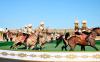 Turkmenistan and Azerbaijan will work together to preserve the ahal-teke and karabah horses
