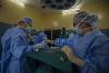 Greece Sets New Milestones in Life-Saving Organ Donations