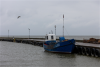 Lithuanian offshore wind auction fails again