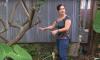 New Orleans Couple Discovers Ancient Roman Grave Marker in Yard