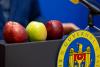Moldovan authorities not notified about blockade by of apples' batch