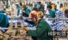 Casablanca-Settat tops new business creation as Morocco records over 72,000 companies in 2025