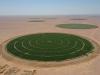 Oman studies private sector role in managing agricultural cities