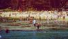 Hanauma Bay Education Program: A celebration of 35 years and a new beginning
