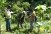 Education Ministry Targets 2,000 Fruit Trees per School to Boost Nutrition, Green Cover