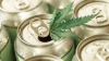 Survey: Consumers Frequently Report Reducing or Eliminating Their Alcohol Intake by Using Cannabis