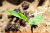 Your Farm Business Plan Is a Blueprint for Success