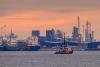 Strikes cripple Rotterdam and Antwerp-Bruges ports, causing major shipping delays in Europe