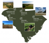 Agriculture fights for its life