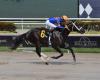 One Guyana Racing conquers Barbados… Next stop The Mouttet Mile, Jamaica