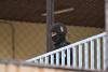 Guatemala Joins Costa Rica and Ecuador in Building Anti-Gang Prisons