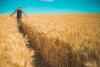 Perspectives for Romanian agriculture   