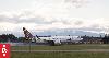 CAA still deciding whether to launch investigation into Fiji Airways bird strike emergency