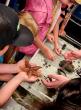 Extension 4-H Science Center to host open house featuring touch tank and hands-on experiments
