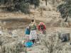 Country specific analysis of gender and renewable energy in Africa