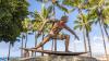 The Hawaiian surfers who exposed bias in science