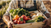 Bulgarian fruit, nut and vegetable producers to receive €7.4 million from EU