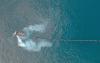 Cyprus approves transfer of Great Sea Interconnector licenses to Greece’s ADMIE