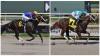 One Guyana Racing out to conquer The Mouttet Mile in Jamaica