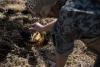 Japan sends military instructors to train Ukrainian soldiers