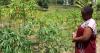 Kenya project looks at impact of climate change on women's mental health