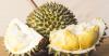 Laos Launches New Durian Cultivation Project to Boost Exports to China