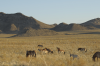 Khomyn Tal National Park Recognized as Mongolia’s 12th UNESCO Biosphere Reserve